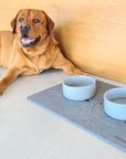 Tapis animaux Diatomite + Gamelles