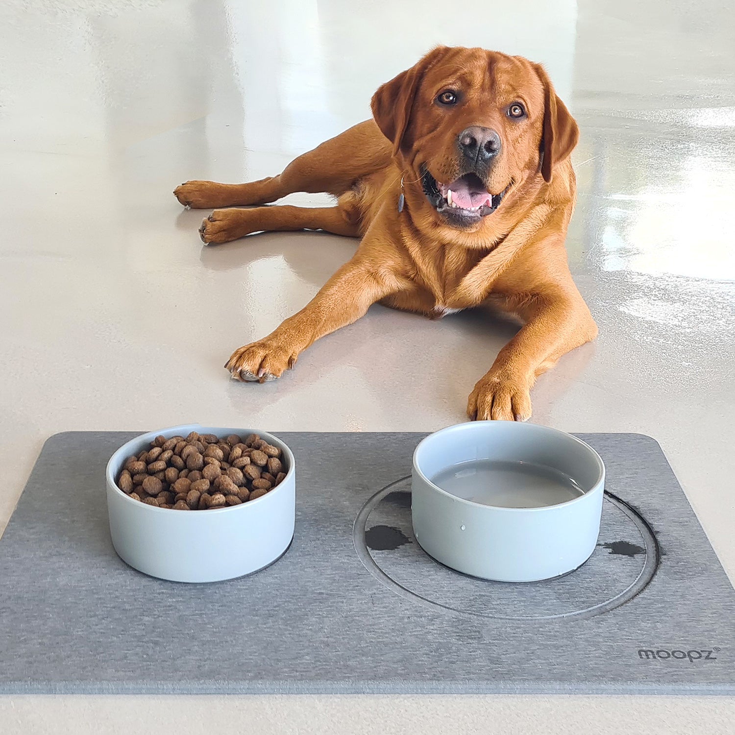 Tapis Absorbant En Pierre De Diatomite 30x40 Cm - Pour égoutter La Vaisselle Ou Placer Les Gamelles D'animaux - Gris, Facile à Nettoyer