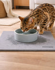 Tapis chat Diatomite